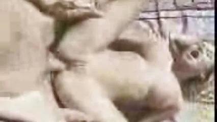 Besando morena en el videos porno con casadas infieles gimnasio